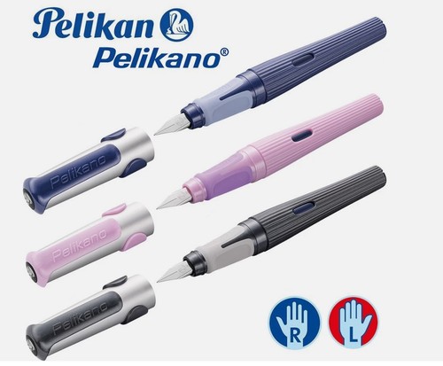 Pelikan pelikano struktur - pelikan,